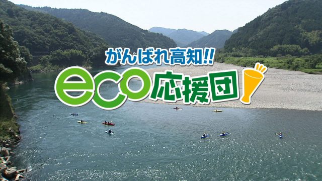 がんばれ高知！eco応援団