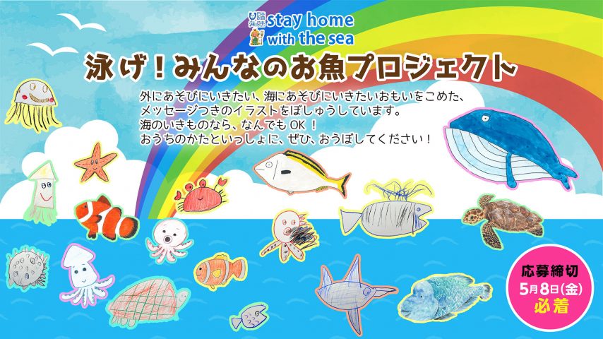 泳げ みんなのお魚プロジェクト メッセージ付きイラスト募集 Kutvテレビ高知 泳げ みんなのお魚プロジェクト メッセージ付きイラスト募集 Kutvテレビ高知