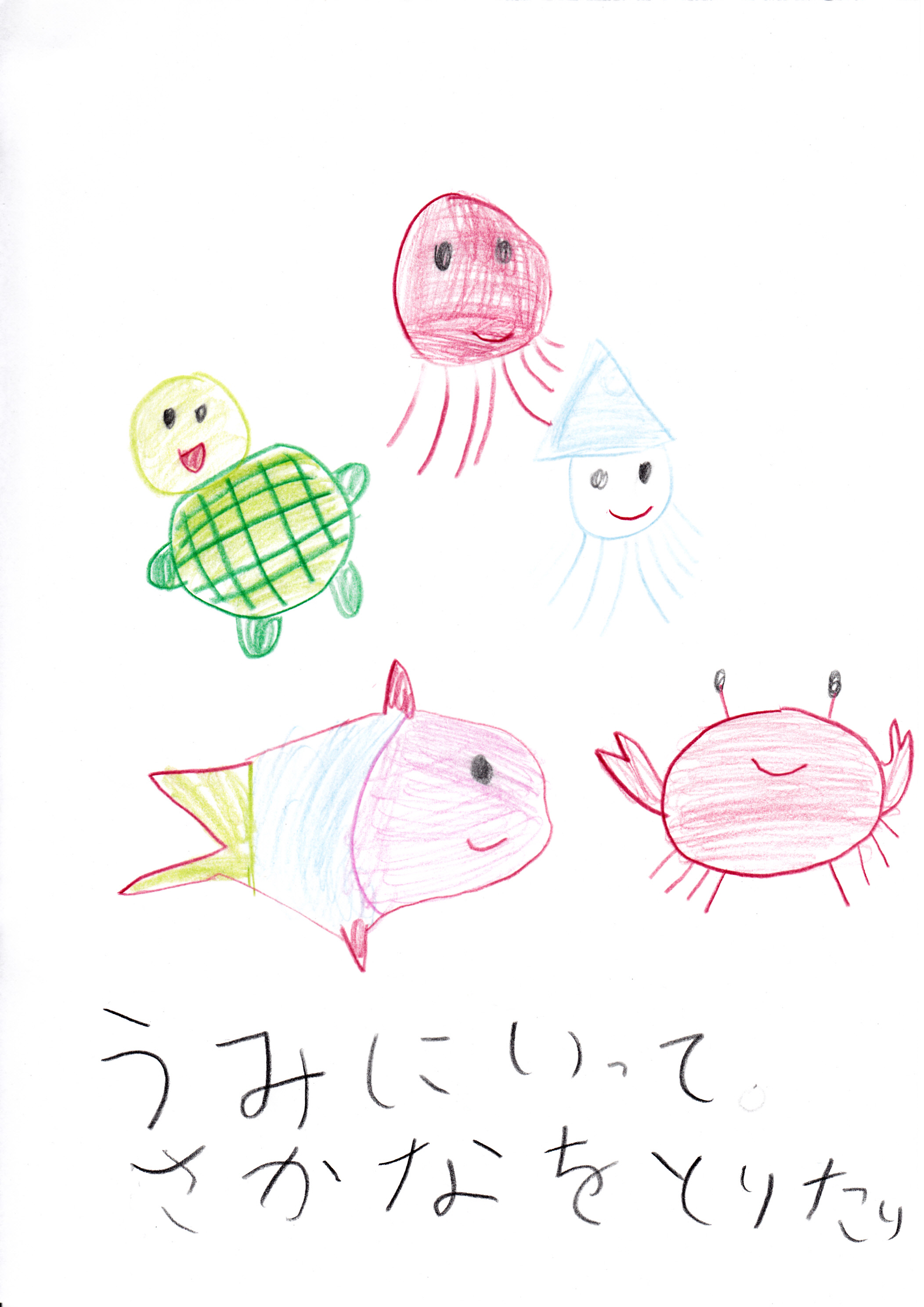 泳げ みんなのお魚プロジェクト Kutvテレビ高知 泳げ みんなのお魚プロジェクト Kutvテレビ高知