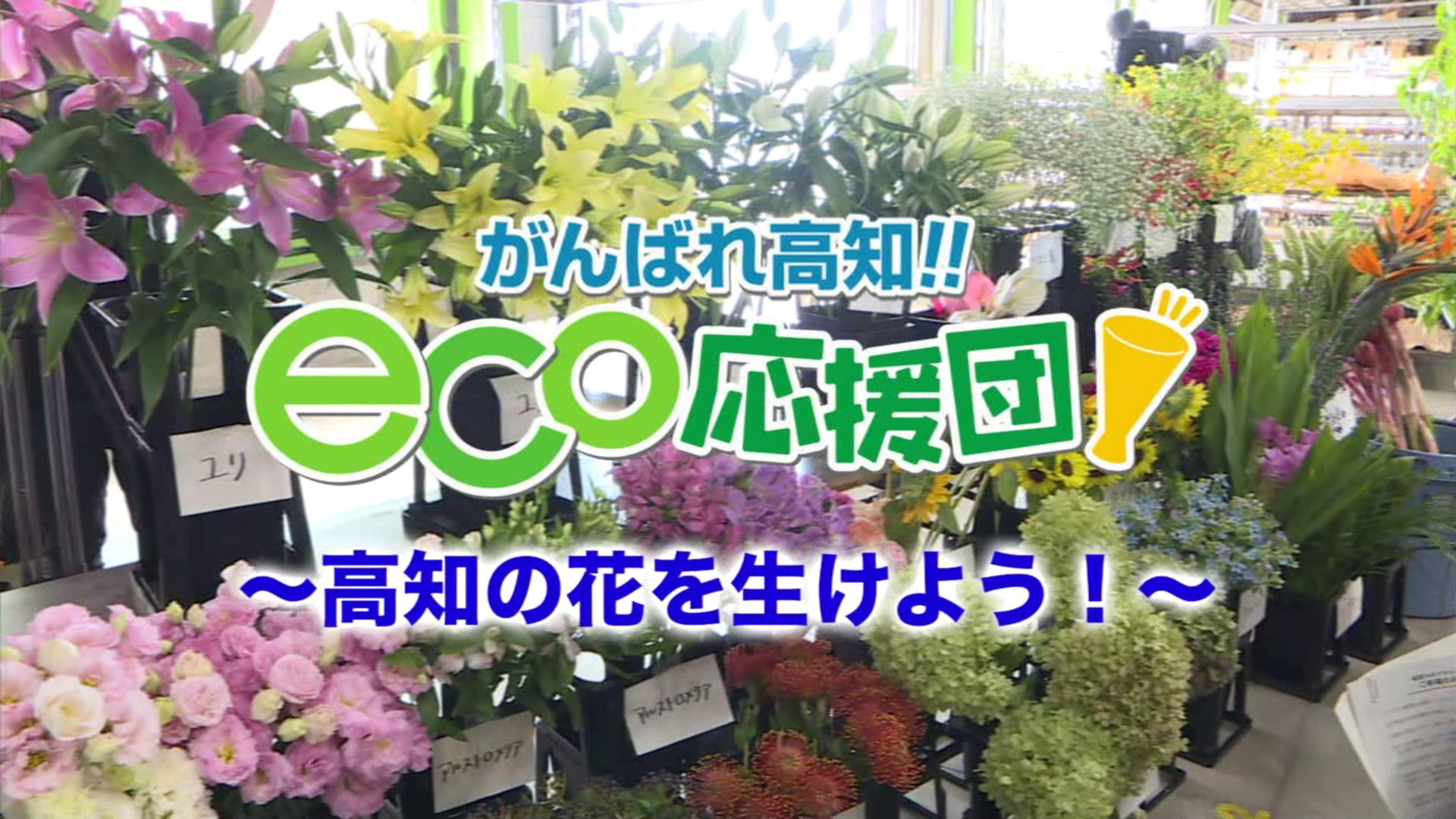 高知の花を生けよう Kutvテレビ高知 高知の花を生けよう Kutvテレビ高知