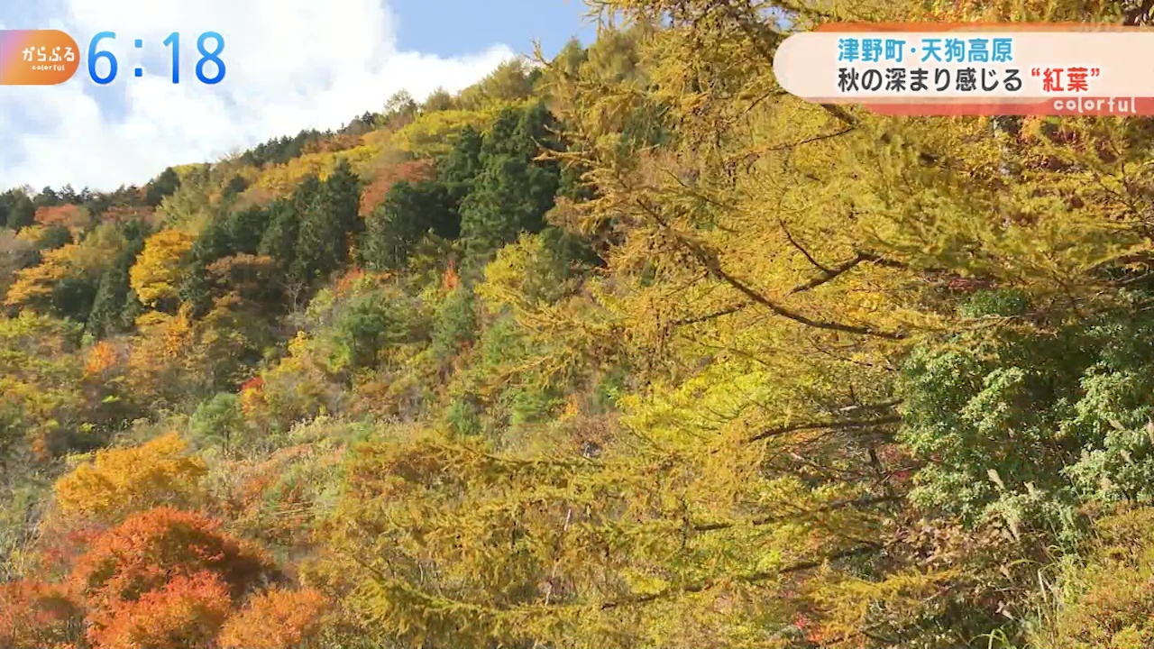 天狗高原 秋の深まり感じる 紅葉 高知 津野町 Kutvテレビ高知