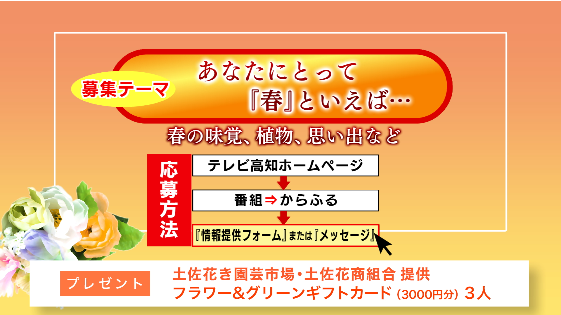 メッセージ募集のお知らせ テーマは あなたにとって 春 といえば Kutvテレビ高知