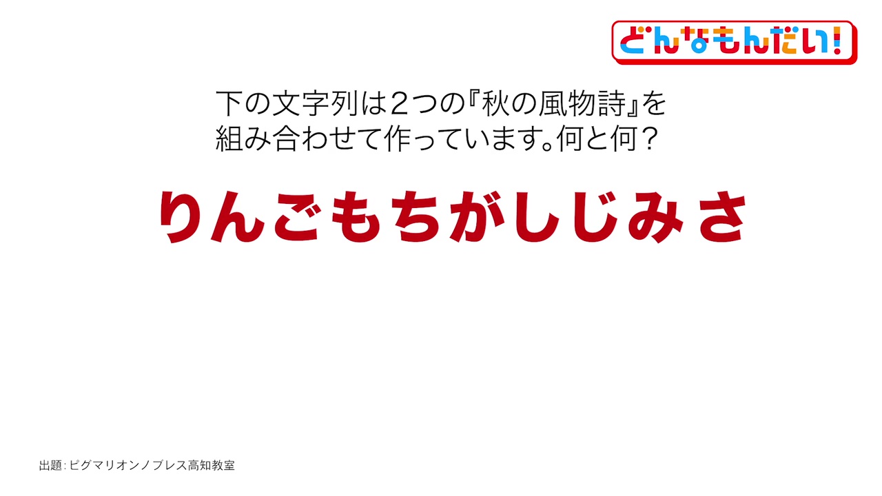どんなもんだい #46 文字のシャッフル問題 | KUTVテレビ高知